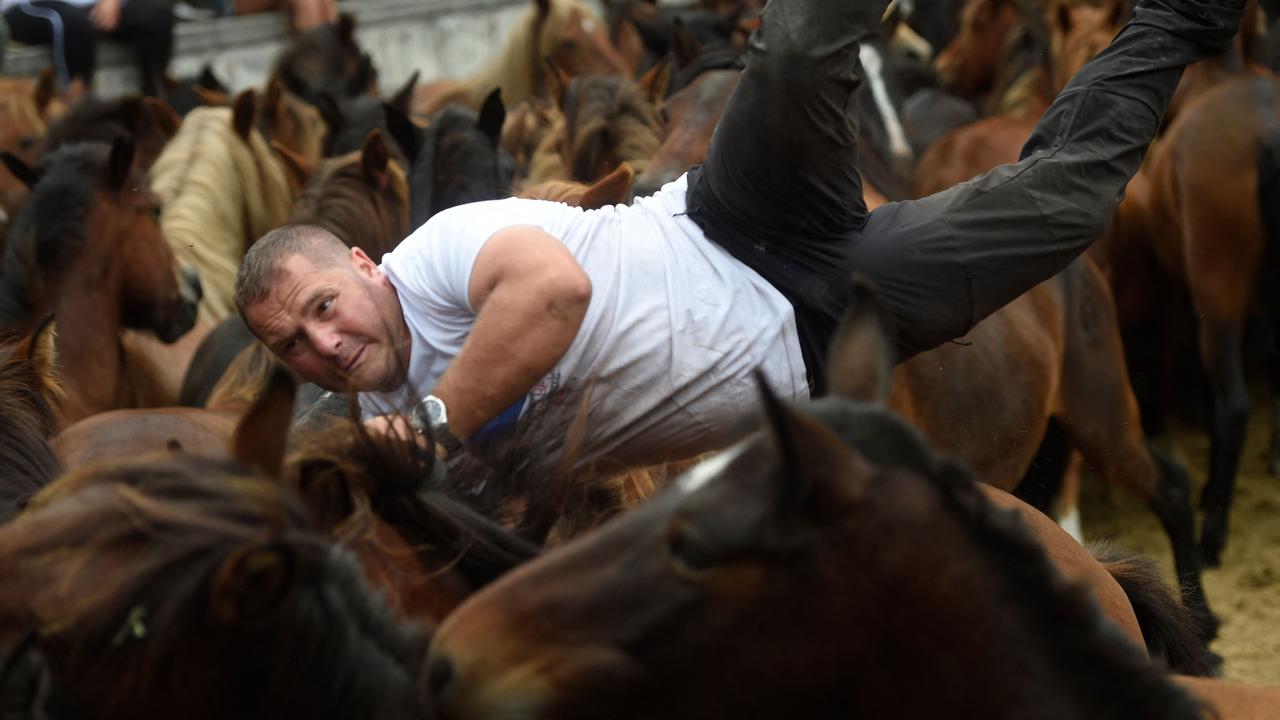 Another rodeo attempt. (Photo by MIGUEL RIOPA / AFP)