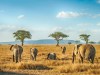 7 golden rules of booking a holiday