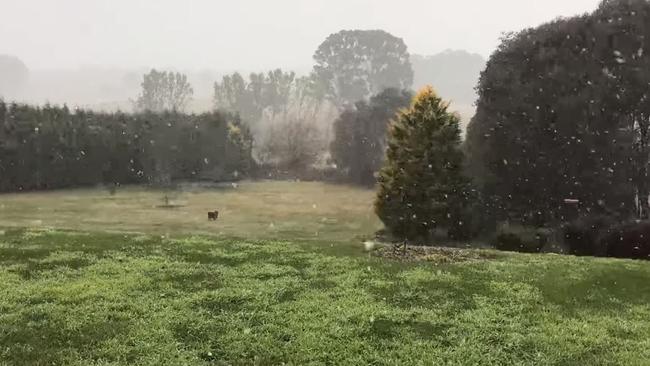 Snow starts to fall in Black Springs. Picture: Facebook.