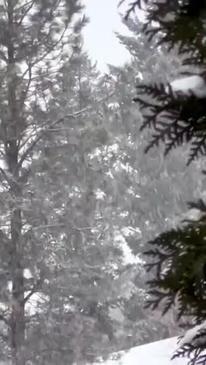 Snowfall Picks Up in Northern Montana