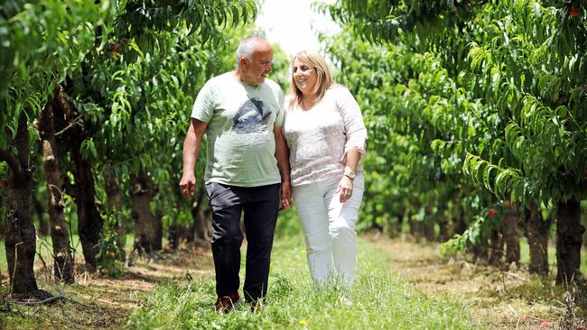 Margaret and Simon Tadrosse‘s orchard is again thriving and the family is close to where they were financially a year before the fires hit. Picture: Tim Hunter.