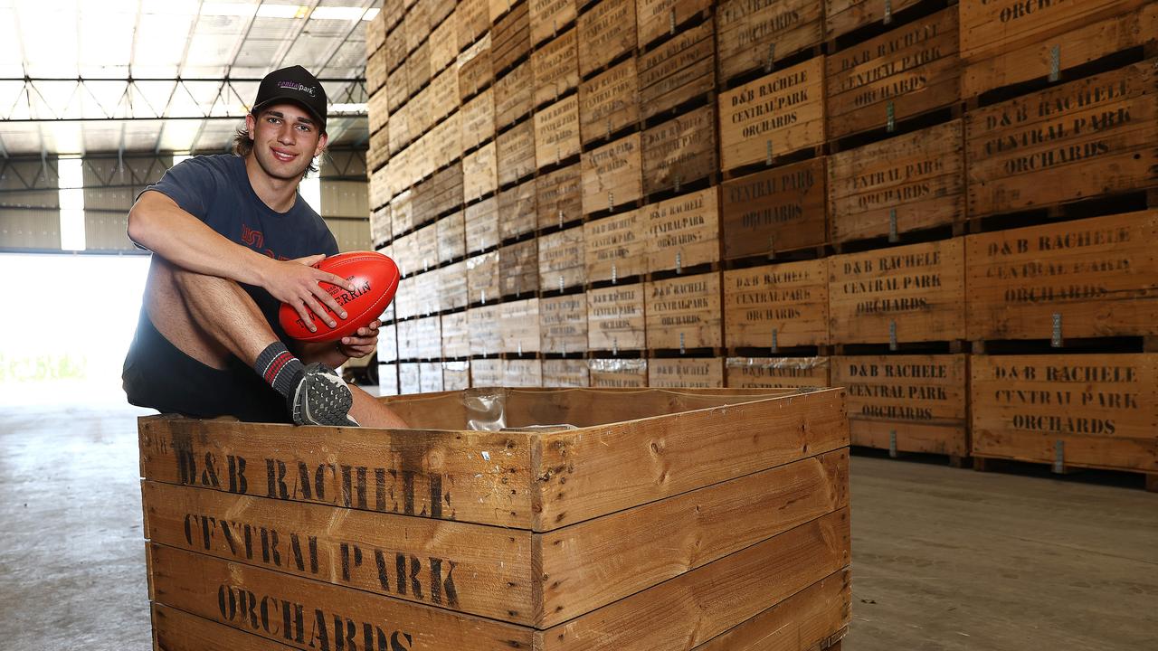 Josh Rachele at the family orchard’s packing shed. Picture: Michael Klein.