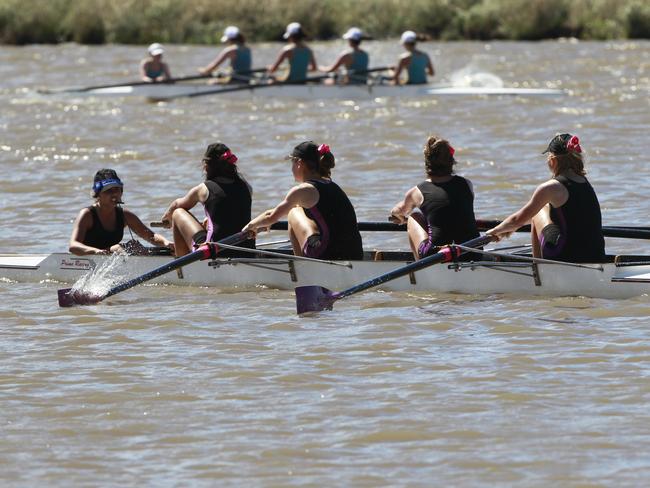 n36ms960 Associated Public Schools of Victoria Rowing Competition at the National Water Sports Centre in Carrum Girls from Haileybury row for third place in their race