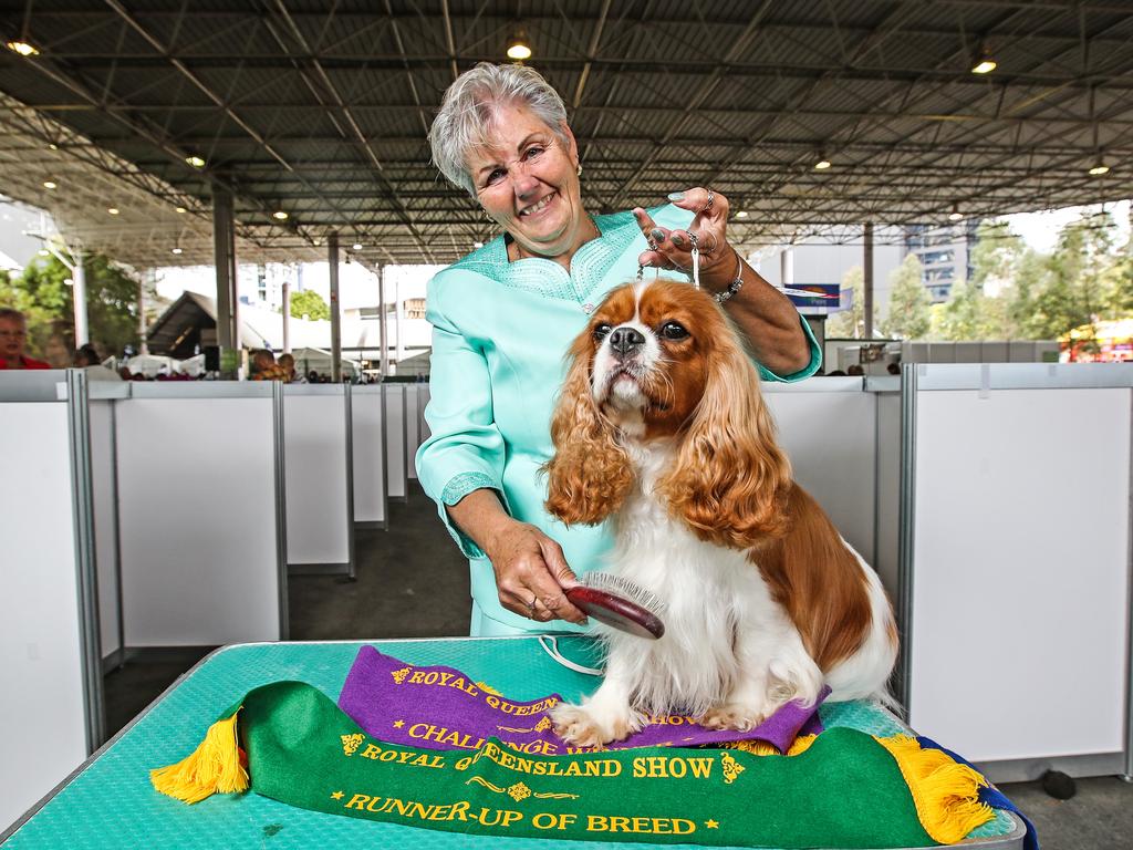 Donna Dickson with her 2-year-old Cavalier King Charles spaniel, Harlow, during the 2022 Ekka dog show. Picture: Zak Simmonds