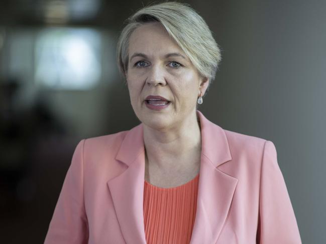 Labor frontbencher Tanya Plibersek condemned the hackers as ‘disgusting human beings’. Picture: NCA NewsWire / Gary Ramage