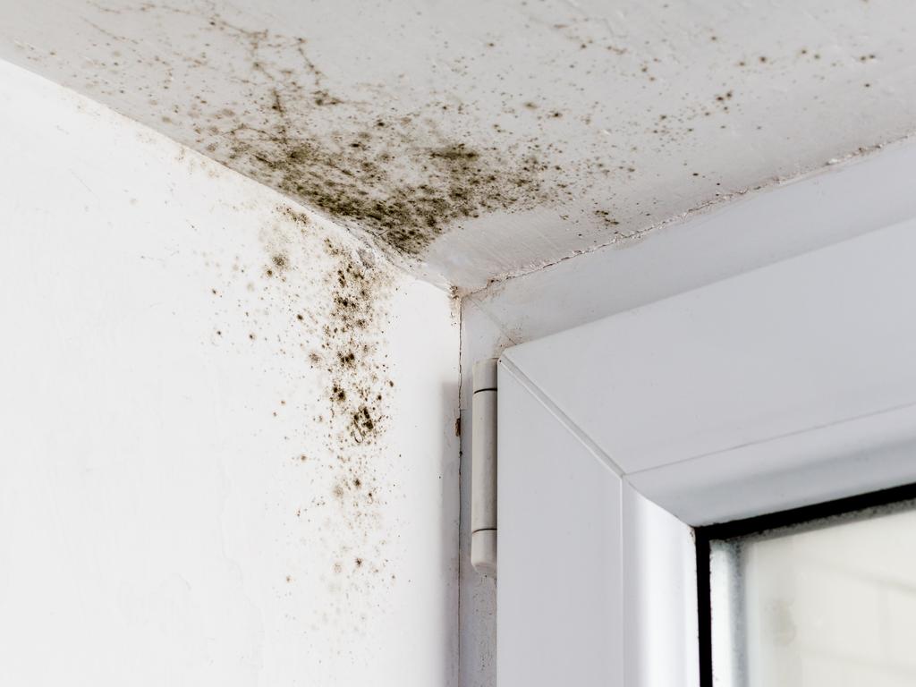 Mould which may be lurking behind walls and doors can become activated during periods of extended rainfall. Picture: istock