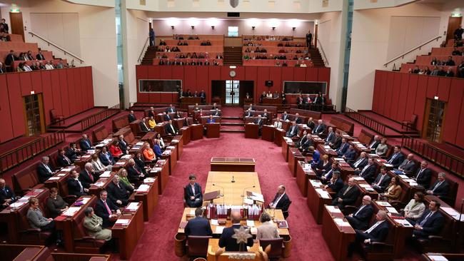 Are Tasmanian representatives in the Senate looking out for our best interests of just the interestest of their parties? Picture: GARY RAMAGE