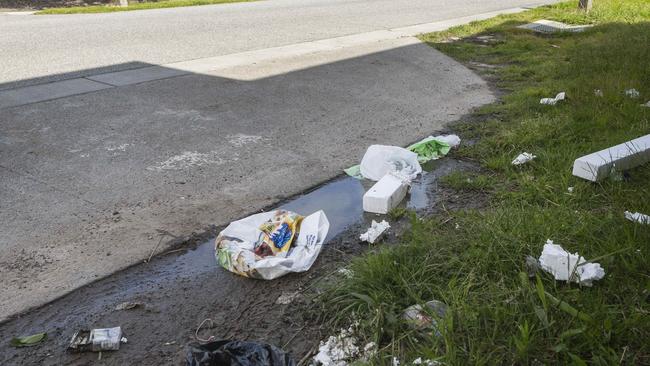 Cars forced to park on nature strips have damaged drainage, which led to flooding.