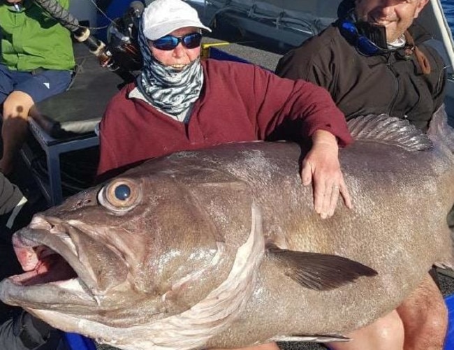 Sue Elcock tries to fit the monster-sized fish on her lap. Picture: Brendon Shinnick/Reel Force Charters