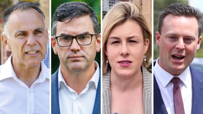 Rivals circle Pesutto’s Liberal Party leadership