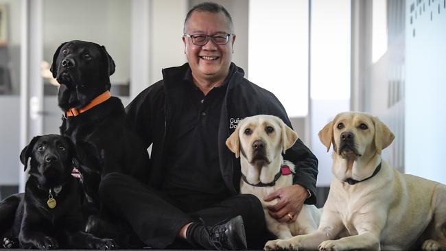 Guide Dogs SA/NT CEO Aaron Chia with trainee dogs Kenzi, Esky, Sage and Topaz. Picture: Roy VanDerVegt