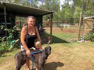 Clarence Valley greyhound breeder Sonia Kempshall. Picture: Tim Jarrett