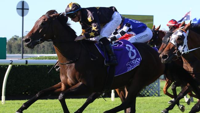 La Gai Soleil looks a great chance in the final event at Randwick on Saturday. Picture: Grant Guy