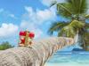Air New Zealand’s Christmas cracker