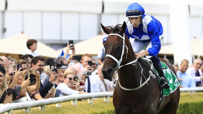 Winx will be shooting for 32 wins in a row in the George Ryder Stakes. Picture: Getty Images 