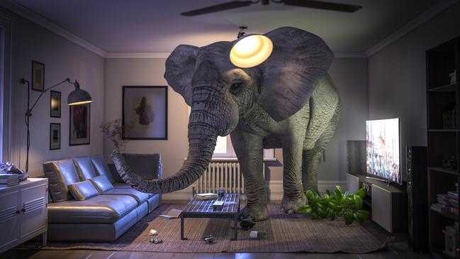 The US is the financial elephant in the room, but Aussie interest rates may go their own way. Picture: iStock