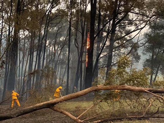 Firefighters in action in Monbulk. Picture: Monbulk CFA