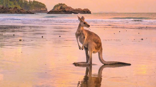 The Whitsundays, a popular Queensland holiday destination.