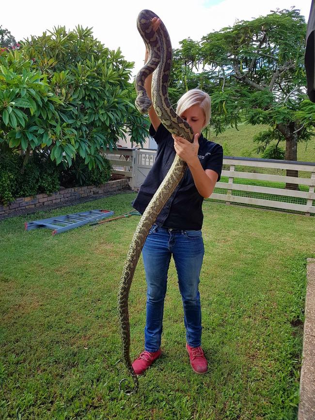 Harrison's wife Brooke with a big catch. Picture: Gold Coast Snake Catcher