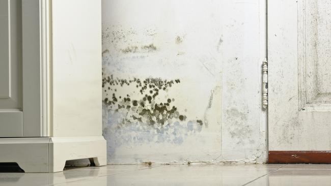 Continued exposure to mould can cause a range of health issues.