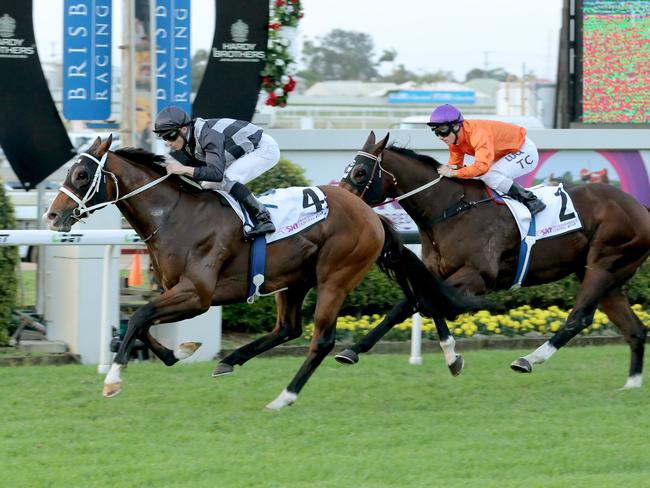 The Chris Waller-trained Counterattack pulls off a huge plunge. Picture: Mark Cranitch