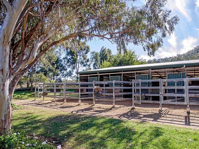 The stables at Raheen Stud can hold up to 45 horses at a time. Picture: supplied