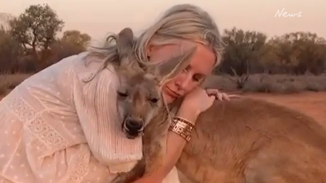 Fashion editor says roo hug unrelated to fires