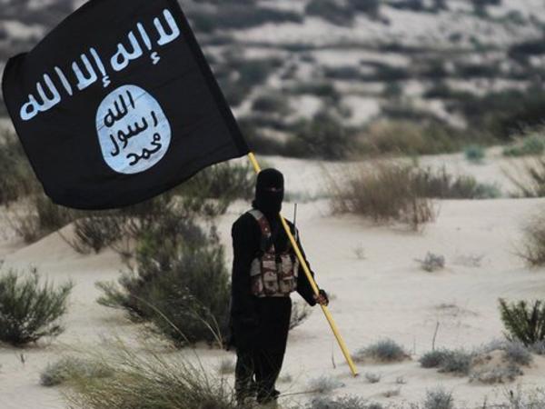 Jihadists feeding off discontent