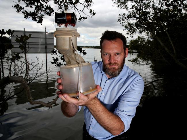 Dr Cameron Webb along the mosquito hotbed of the Parramatta River.