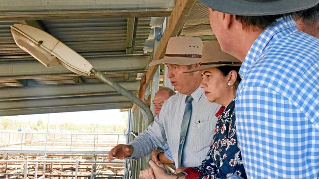 MUSTERING FUNDS: Premier Annastasia Palaszczuk at Roma Saleyards, which is receiving $1.8 million in the State Budget for the new multi-purpose facility. Picture: Alexia Austin