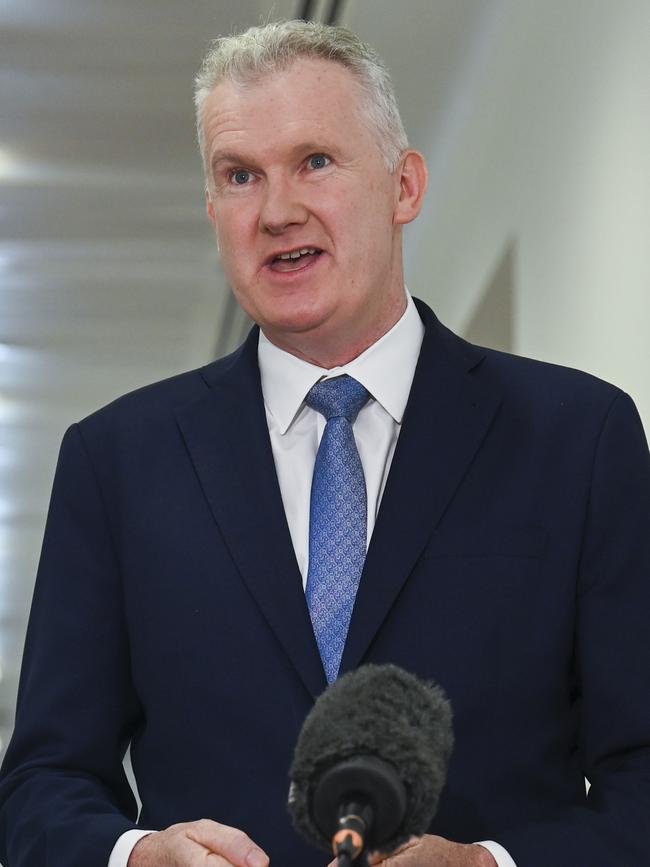 Minister for the Arts, Tony Burke. Picture: NCA NewsWire / Martin Ollman