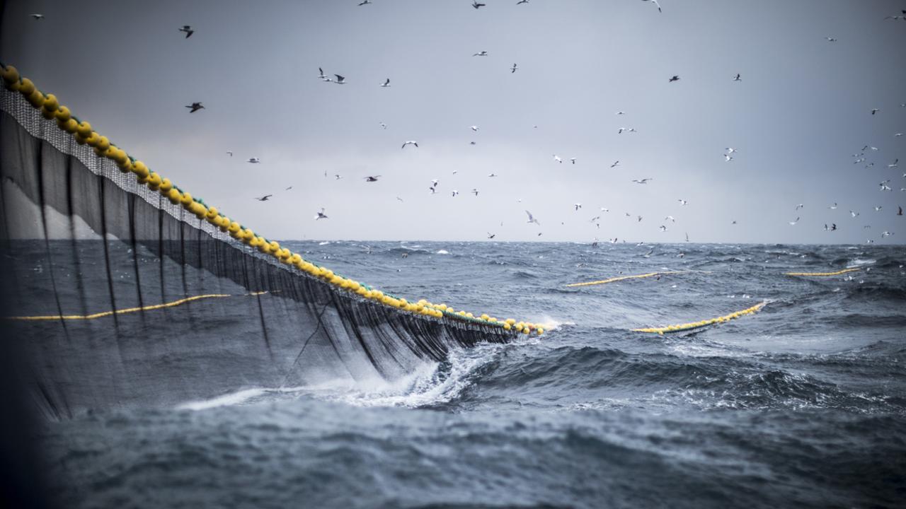 If we’re going to protect our oceans, this has to stop