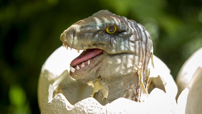 A scaly hatchling makes an eggtraoridnary entry into Melbourne Zoo as part of its newly launched Dino Park. Picture: Zoos Victoria.