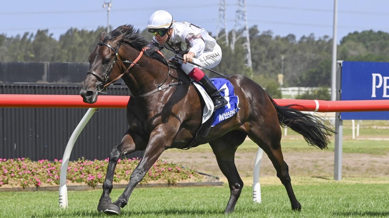 Mogwai is chasing another first-up win when he heads to Canterbury. Picture: Bradley Photos