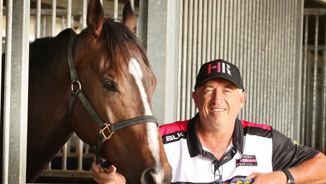 Rothfire will trial at Doomben on Thursday. Picture: Liam Kidston.