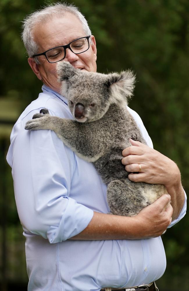 Prime Minister Scott Morrison announces $50 million in new funding and a new National Koala Recovery Plan. Picture: Adam Taylor