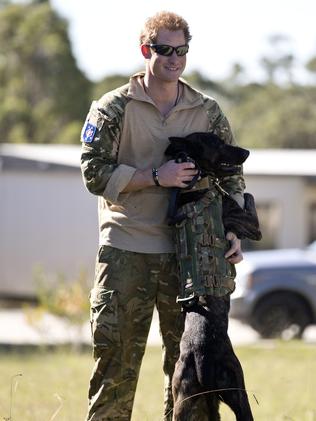 Prince Harry military working dog in Australia. Picture: Australian Defence Force