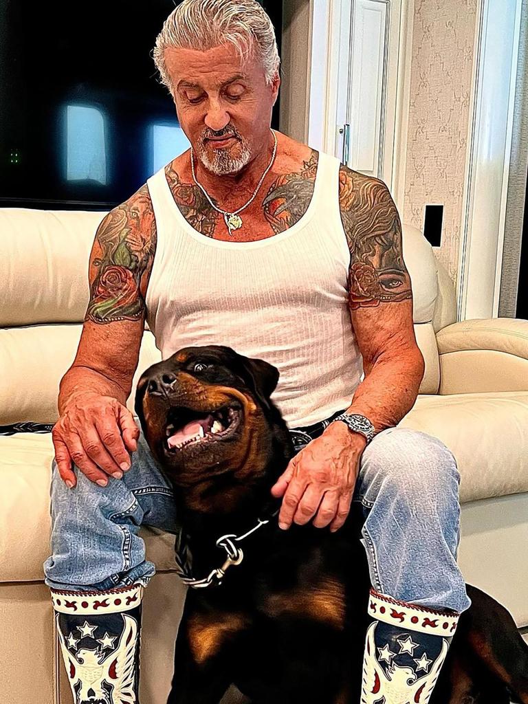 Rumours swirled that the couple had disagreed about Stallone’s rottweiler, Dwight.