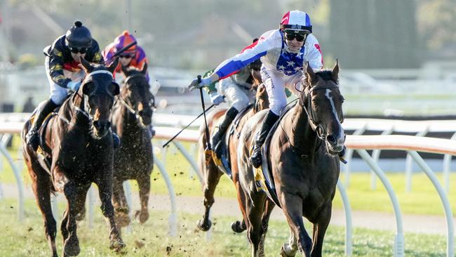 Mystery Island has performed solidly at both city runs in the lead-up to Saturday’s Country Cups Final. Picture: Racing Photos via Getty Images
