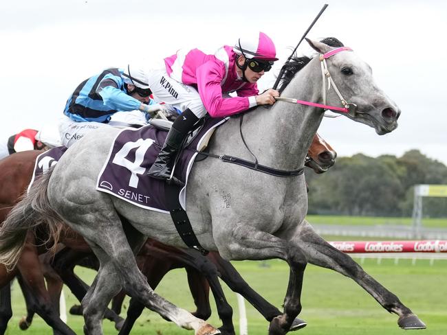 Frigid ridden by Wiremu Pinn (NZ) wins the Senet Gambling Law Experts Handicap  at Ladbrokes Park Hillside Racecourse on June 10, 2023 in Springvale, Australia. (Photo by Scott Barbour/Racing Photos via Getty Images)