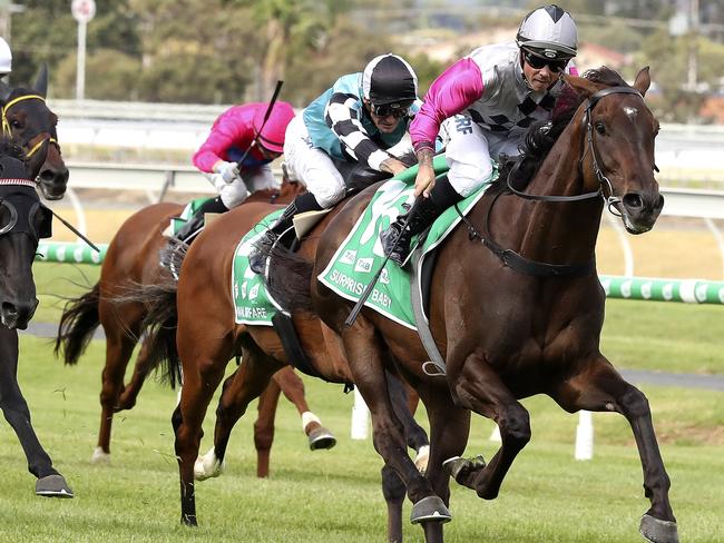 Surprise Baby gets the perfect opportunity to win through to the Melbourne Cup.