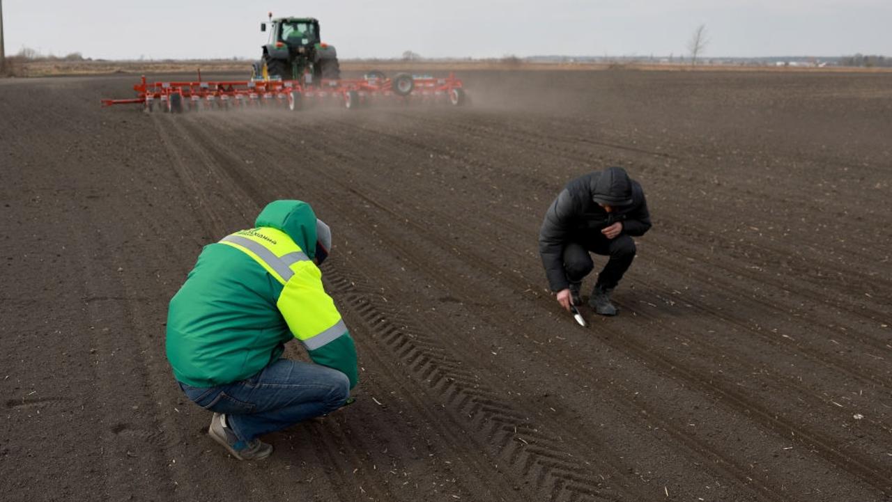 With around 400,000sq km of agricultural land, Ukraine has been called the breadbasket of Europe. Picture: Joe Raedle/Getty Images