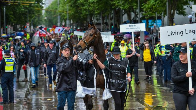 Might and Power scared by the protesters at the 2019 Lexus Melbourne Cup Parade. Picture: Jason Edwards