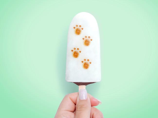 The ChocMint Paw Print Paddlepop is back for a limited time.