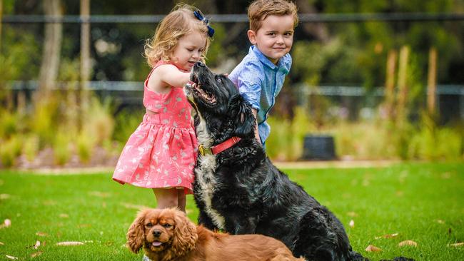 Harriett Rowley 4 and Indy Arnold, 3, with dogs Banksy and Lola. Picture: Roy VanDerVegt/AAP