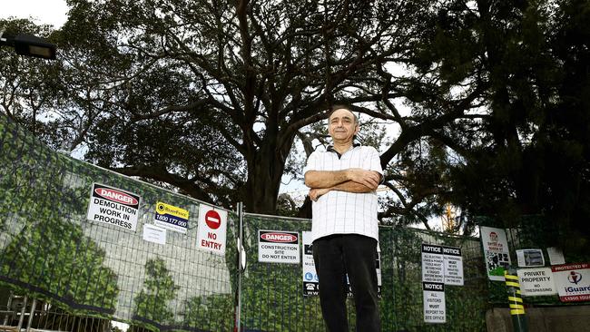 Themis Theo next to the last remaining tree, earmarked for removal. Picture: John Appleyard