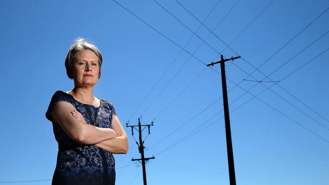 Ignition point: Jill Porter near powerlines at Terang, where she runs a dairy farm with her husband. The couple’s farm was the first to be burnt out during last year’s St Patrick’s Day fires that spread though out the southwest of Victoria. Picture: Andy Rogers