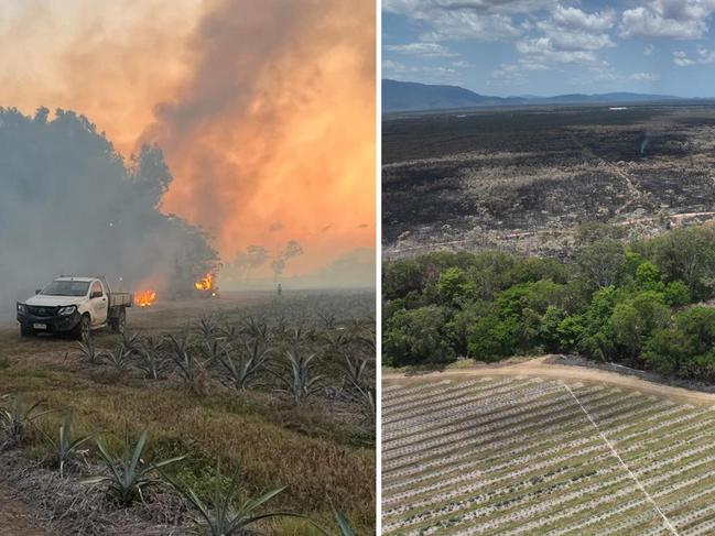 Backyard light-up during total fire ban shuts highway, risks farm