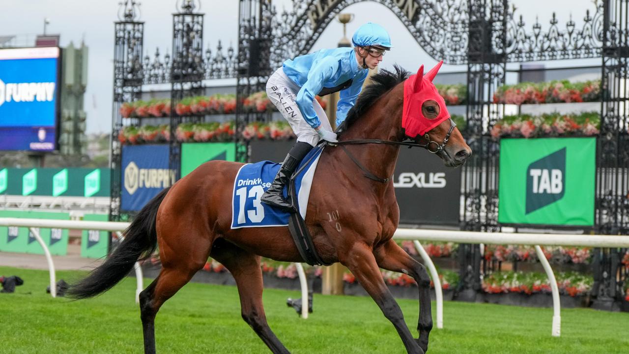 Lady In Pink will be Malua Racing’s sole runner on the stand-alone card. Picture: George Sal/Racing Photos via Getty Images