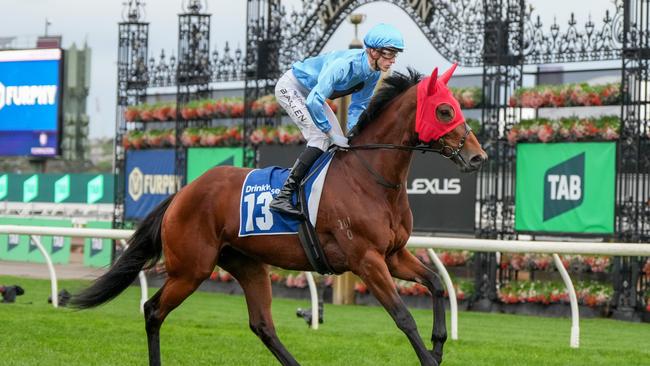 Lady In Pink will be Malua Racing’s sole runner on the stand-alone card. Picture: George Sal/Racing Photos via Getty Images